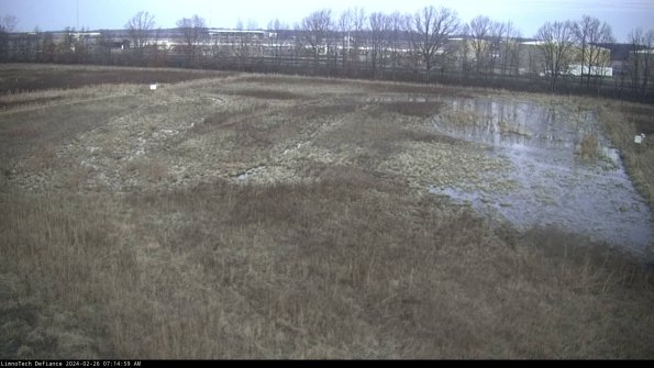 Cell 3_24-02-26_07-15-00-19