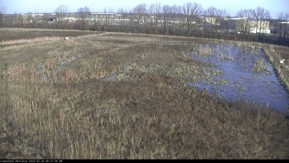 Cell 3_24-02-26_08-21-58-93