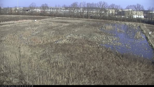 Cell 3_24-02-26_08-55-27-94