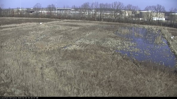 Cell 3_24-02-26_09-28-57-96