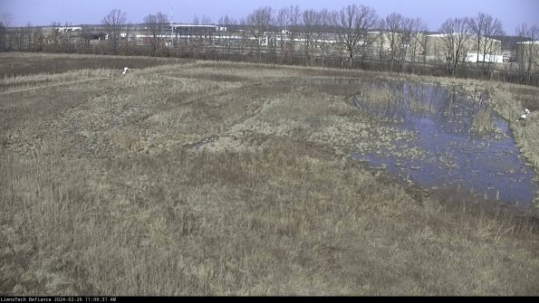 Cell 3_24-02-26_11-09-31-92