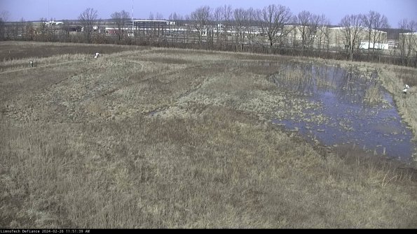 Cell 3_24-02-26_11-51-39-43