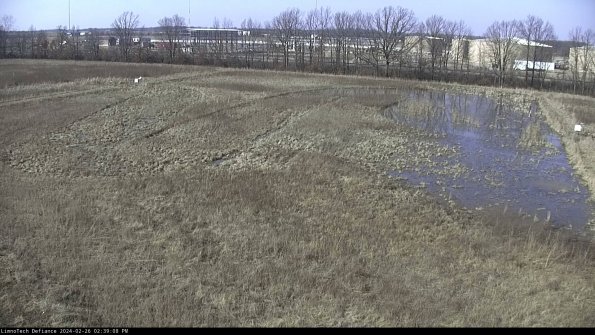 Cell 3_24-02-26_14-39-08-44