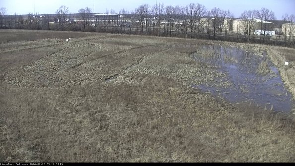 Cell 3_24-02-26_15-12-38-43