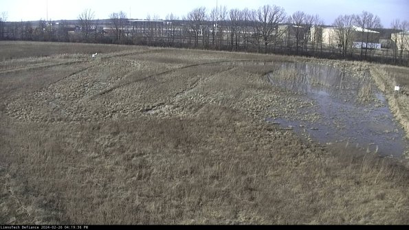 Cell 3_24-02-26_16-19-36-66