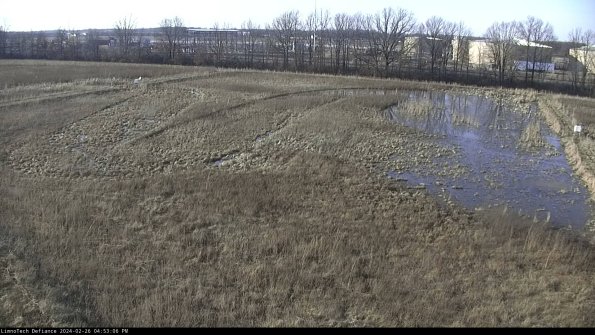 Cell 3_24-02-26_16-53-06-42