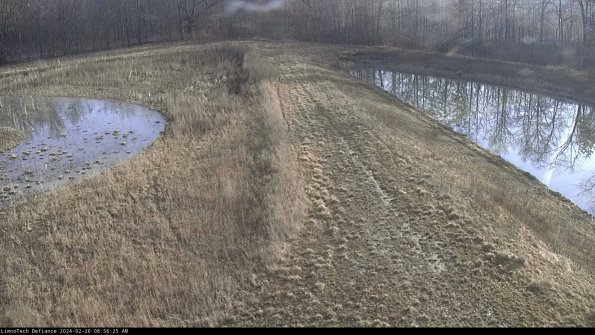 Cell 4 to Basin_24-02-26_08-56-25-93