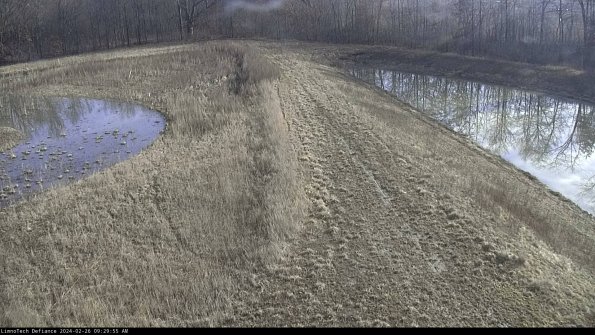 Cell 4 to Basin_24-02-26_09-29-55-95