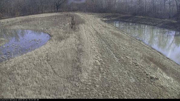 Cell 4 to Basin_24-02-26_10-37-00-93