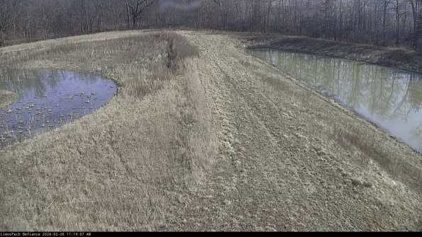 Cell 4 to Basin_24-02-26_11-19-07-41