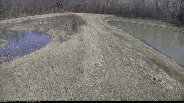 Cell 4 to Basin_24-02-26_13-33-05-42