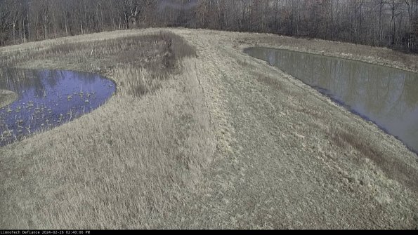 Cell 4 to Basin_24-02-26_14-40-06-40