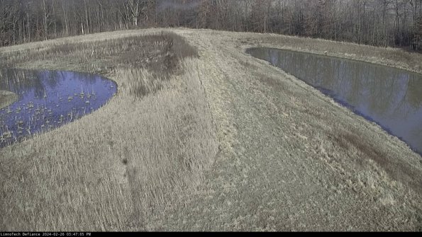 Cell 4 to Basin_24-02-26_15-47-05-43