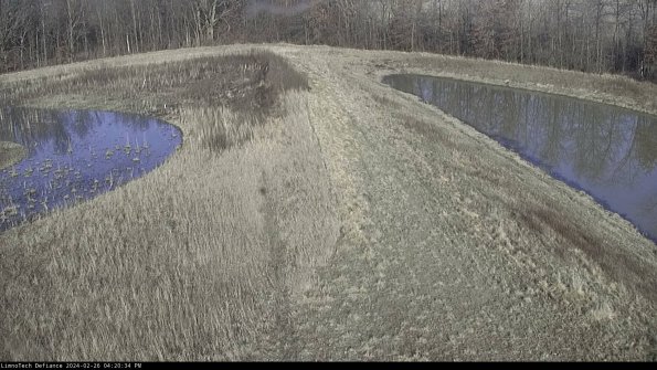 Cell 4 to Basin_24-02-26_16-20-34-42