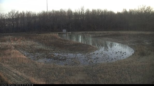 Cell 4_24-02-26_07-48-56-94