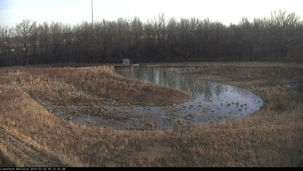 Cell 4_24-02-26_08-22-26-92