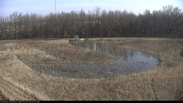 Cell 4_24-02-26_09-29-25-92