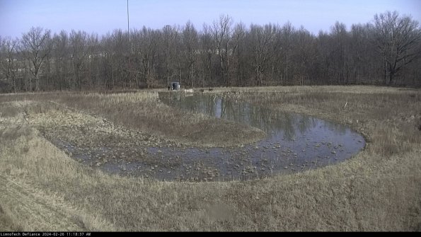 Cell 4_24-02-26_11-18-37-44