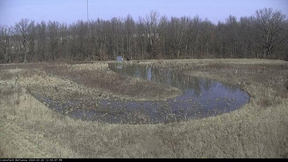 Cell 4_24-02-26_12-59-07-44