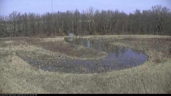 Cell 4_24-02-26_13-32-35-42