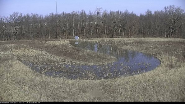 Cell 4_24-02-26_14-06-05-41