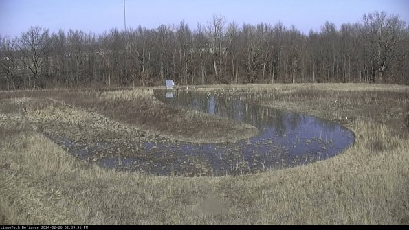 Cell 4_24-02-26_14-39-36-43