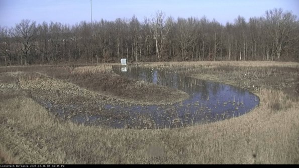 Cell 4_24-02-26_15-46-35-40