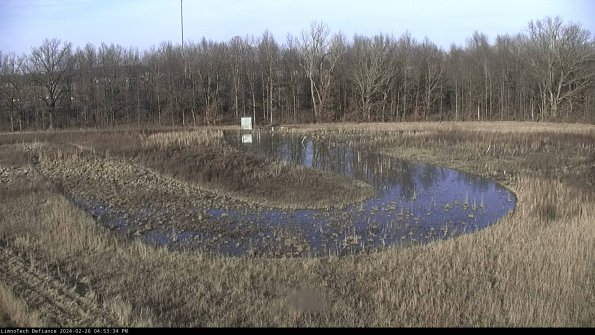 Cell 4_24-02-26_16-53-34-41