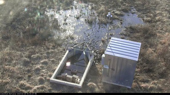 Flume_24-02-26_17-25-27-40