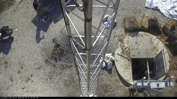 Hatch_24-02-26_13-00-46-44