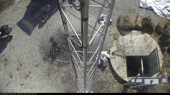 Hatch_24-02-26_14-07-46-41