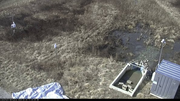 Weather & Flume_24-02-26_11-20-04-60