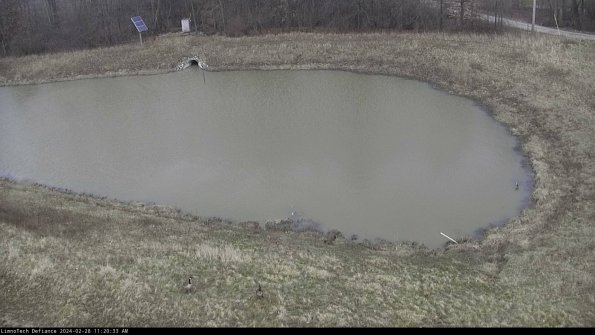 Basin Right_24-02-28_11-20-33-43