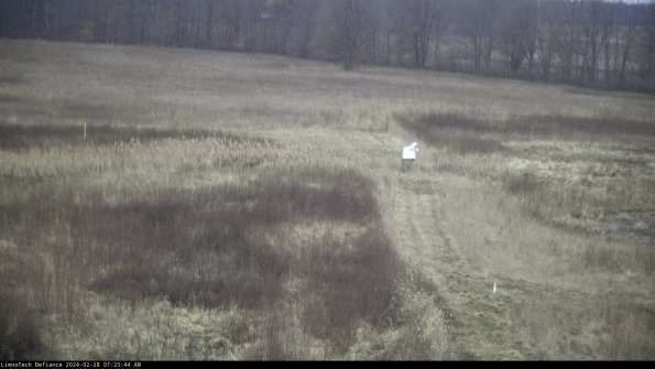 Cell 1 to 2_24-02-28_07-23-44-42