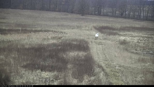 Cell 1 to 2_24-02-28_08-30-42-41