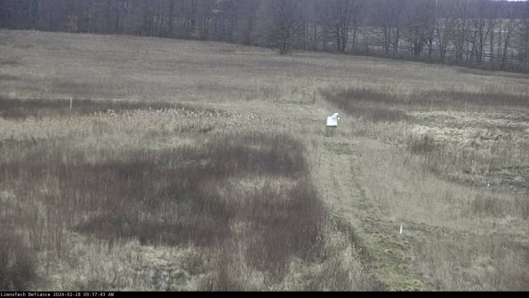 Cell 1 to 2_24-02-28_09-37-43-44