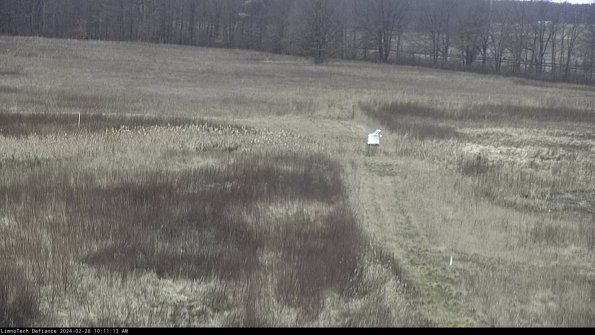 Cell 1 to 2_24-02-28_10-11-13-42