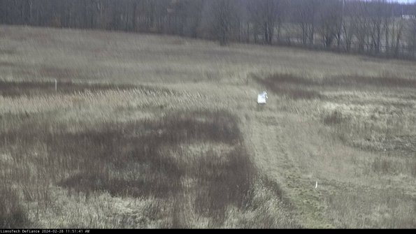 Cell 1 to 2_24-02-28_11-51-41-43