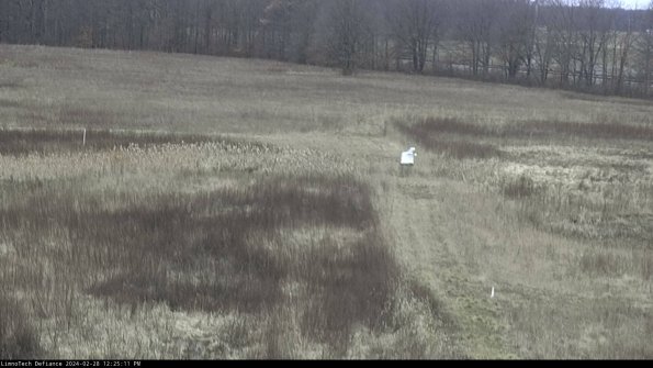 Cell 1 to 2_24-02-28_12-25-11-44