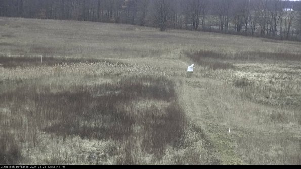 Cell 1 to 2_24-02-28_12-58-41-42