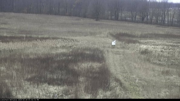 Cell 1 to 2_24-02-28_13-32-12-47