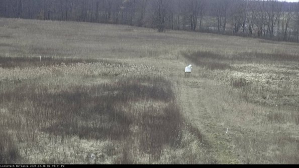 Cell 1 to 2_24-02-28_14-39-11-47