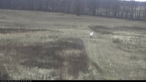 Cell 1 to 2_24-02-28_15-46-10-42