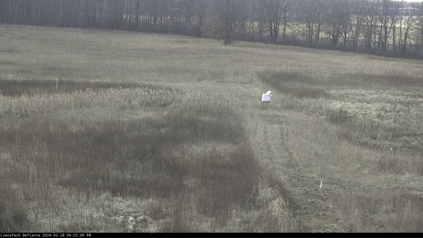 Cell 1 to 2_24-02-28_16-53-08-45