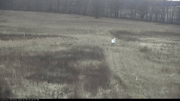 Cell 1 to 2_24-02-28_17-26-37-46