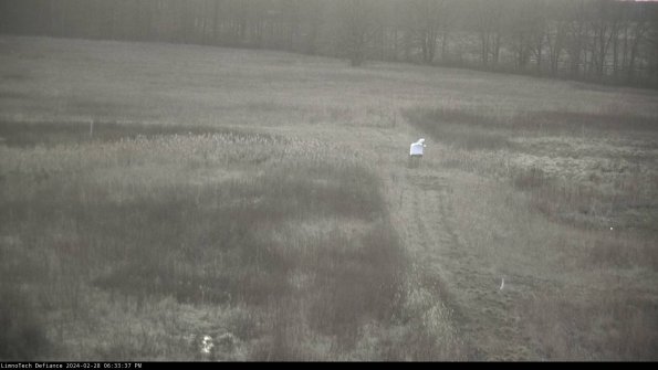 Cell 1 to 2_24-02-28_18-33-37-45