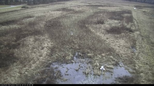 Cell 1_24-02-28_07-56-58-41