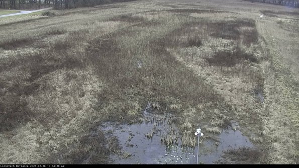 Cell 1_24-02-28_10-44-28-42