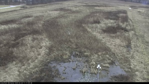 Cell 1_24-02-28_11-17-58-44