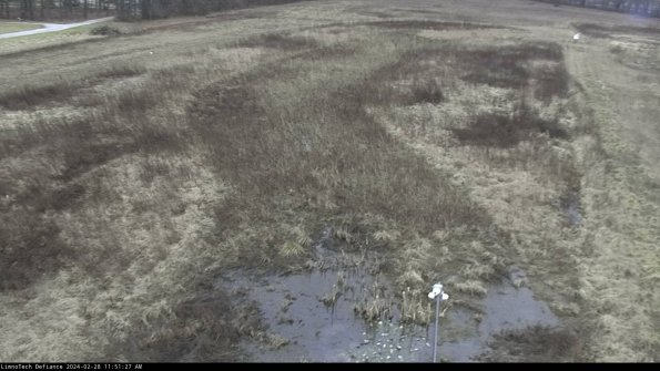 Cell 1_24-02-28_11-51-27-42